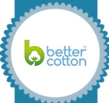 Indian Cotton Solutions